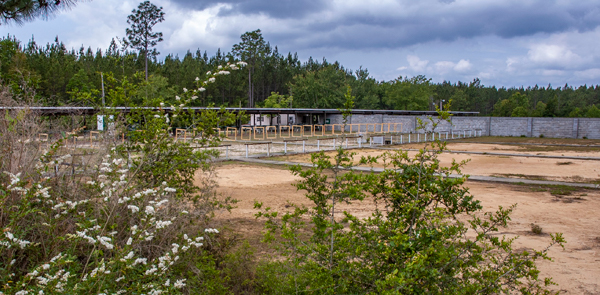 target line from the pistol range