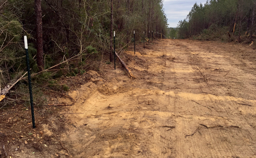 new road built on additional property