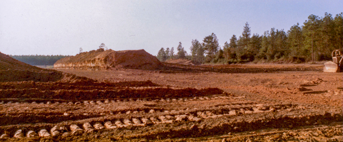 the land cleared with backstops beginning to take shape