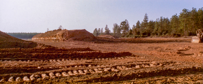 the land cleared with backstops beginning to take shape