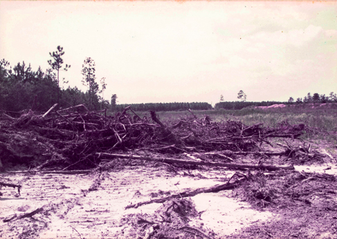 beginning the process to clear the land