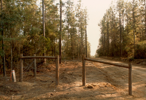 the fence coming to where a gate would be placed later