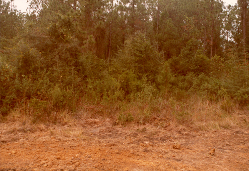 preparing to fence the range land