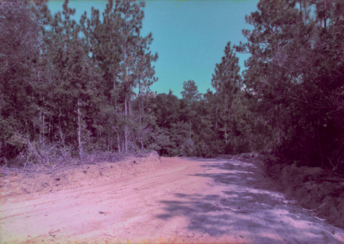 looking at a bend in the road