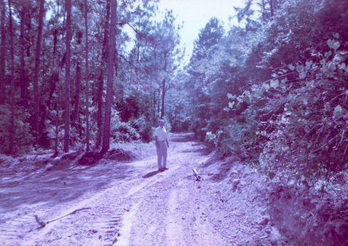 man walking on newly cleared road