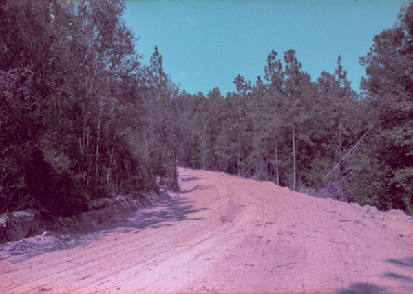 looking at a bend in the road